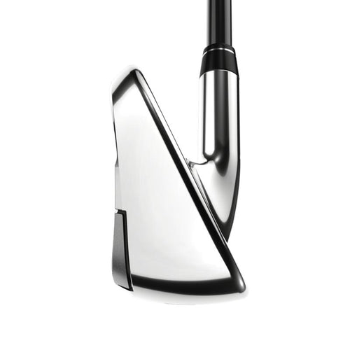 Paradym Ai Smoke MAX Fast Irons